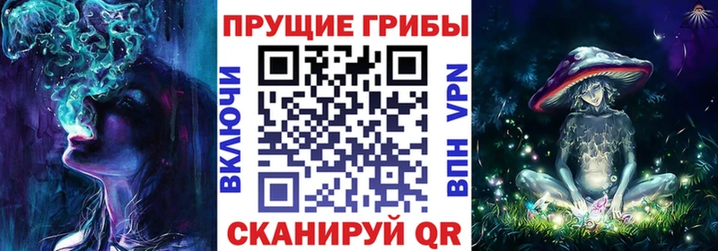 Галлюциногенные грибы Psilocybe  ссылка на мегу ссылка  Ижевск 